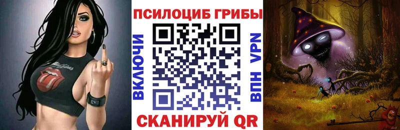 Галлюциногенные грибы Psilocybine cubensis  Абакан 